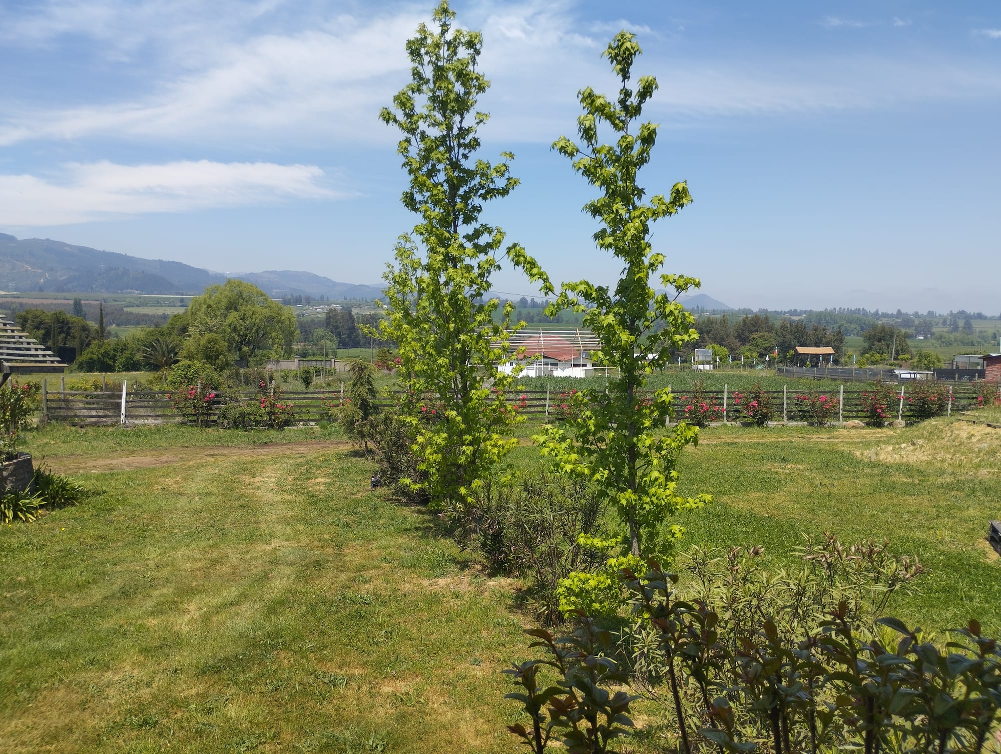 Se vende parcela de agrado con casa y piscina en San Clemente