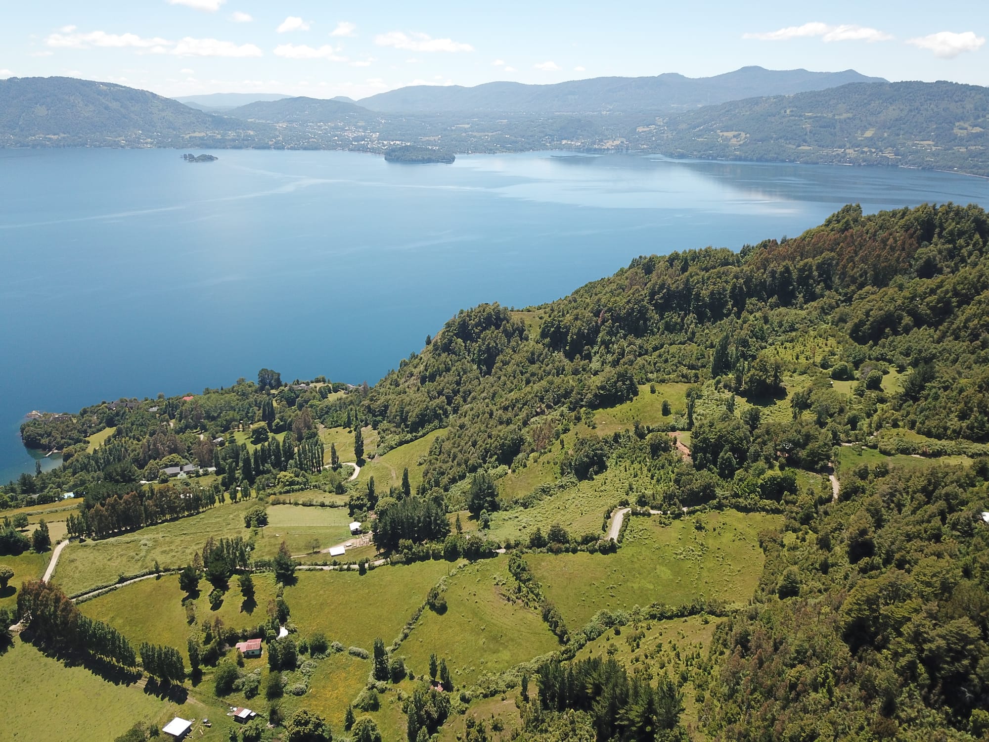 Terreno 46,55 hectáreas comuna Panguipulli.