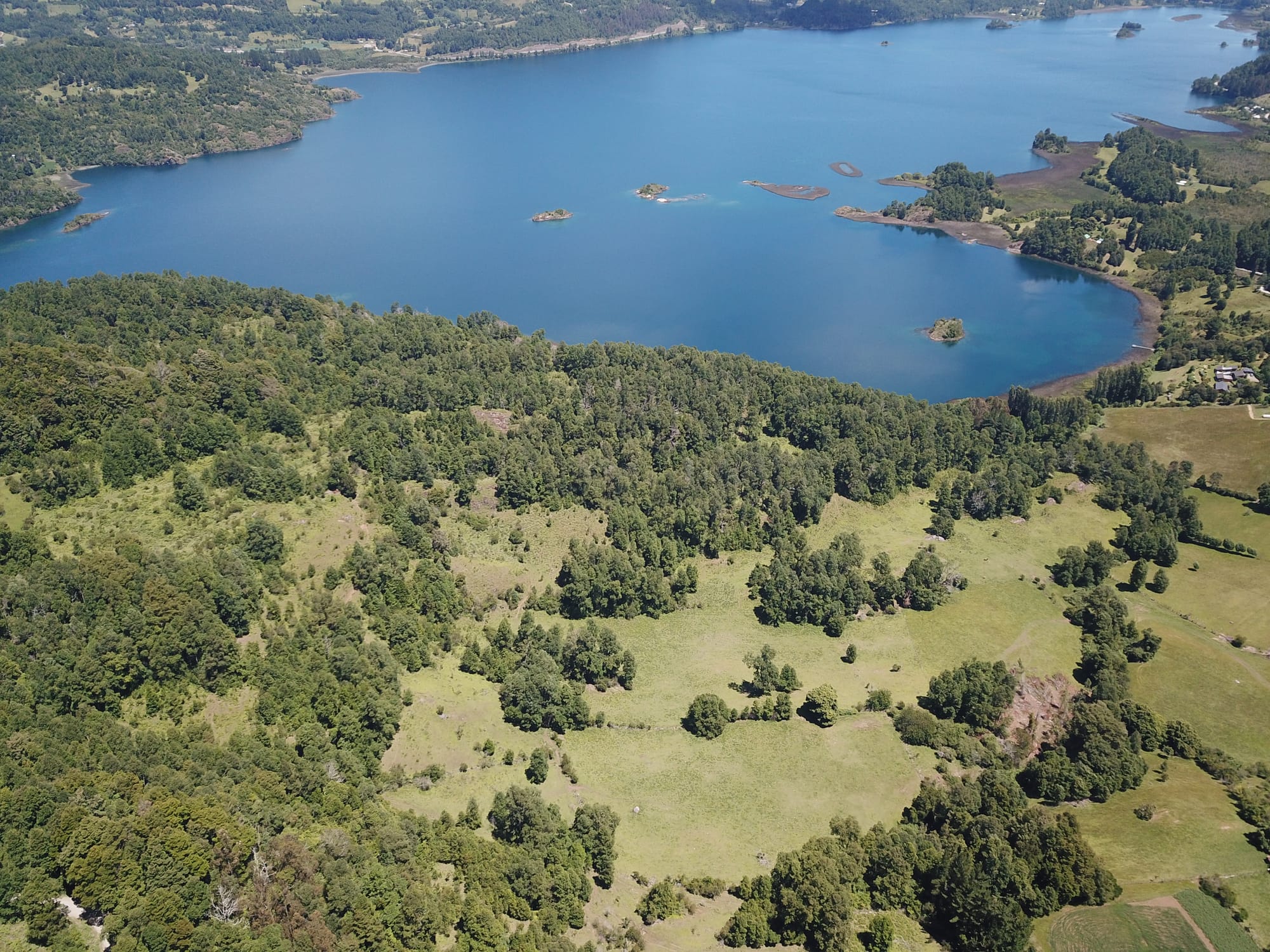 Terreno 46,55 hectáreas comuna Panguipulli.