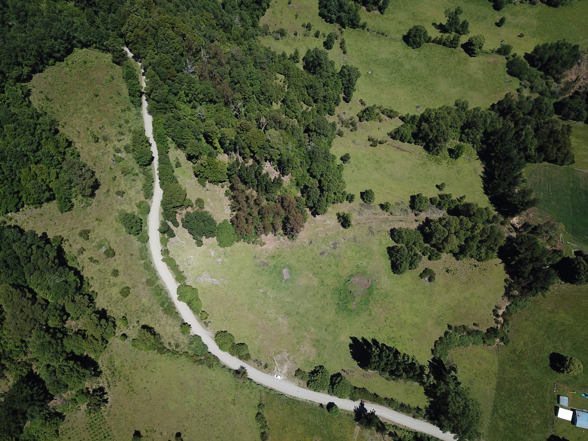 Terreno 46,55 hectáreas comuna Panguipulli.