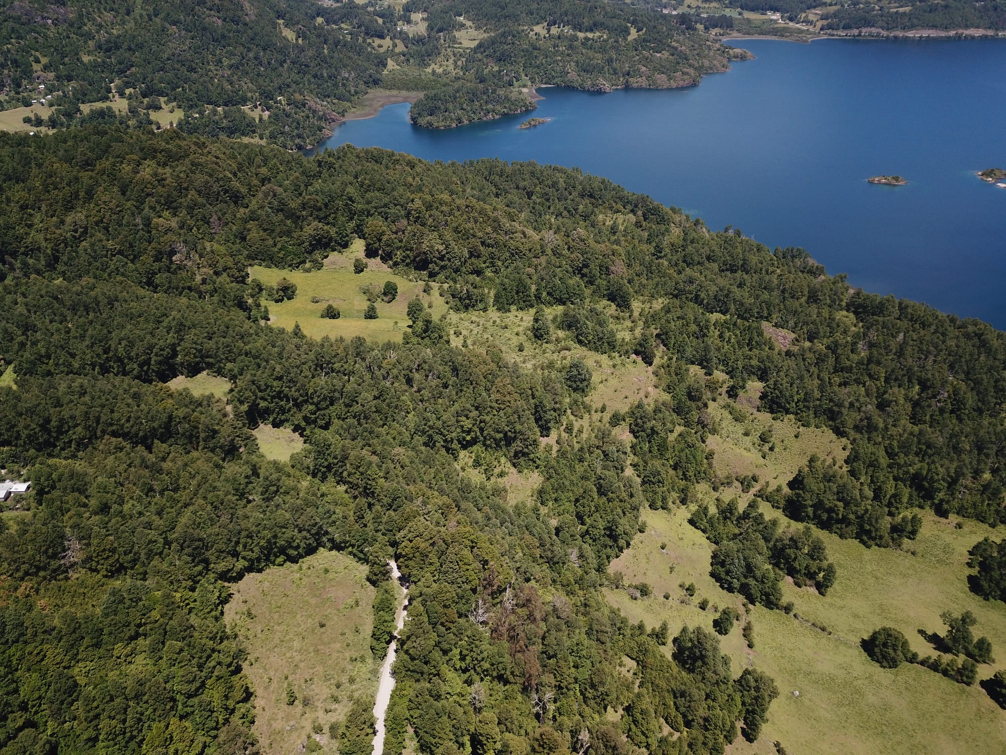 Terreno 46,55 hectáreas comuna Panguipulli.