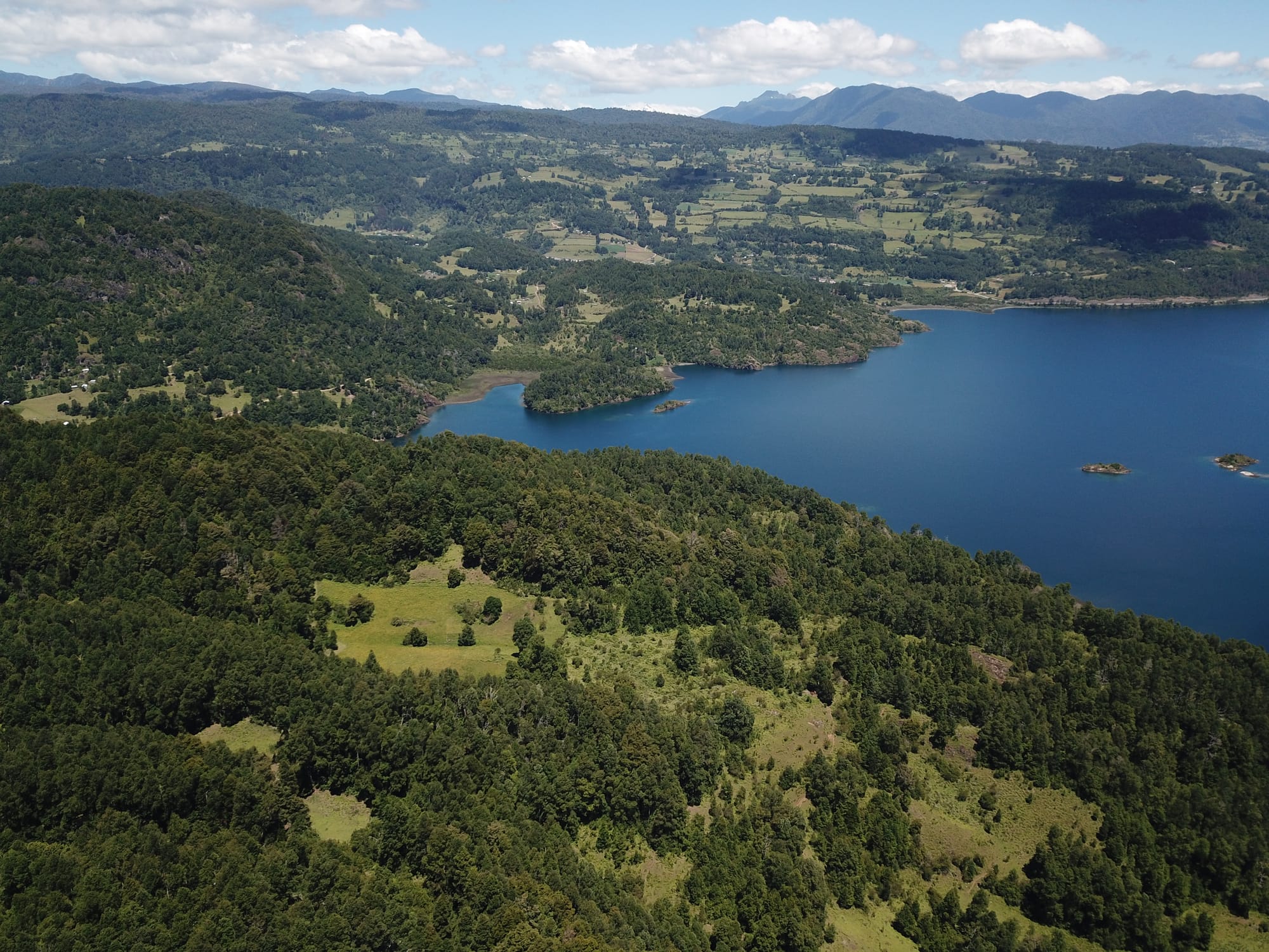 Terreno 46,55 hectáreas comuna Panguipulli.