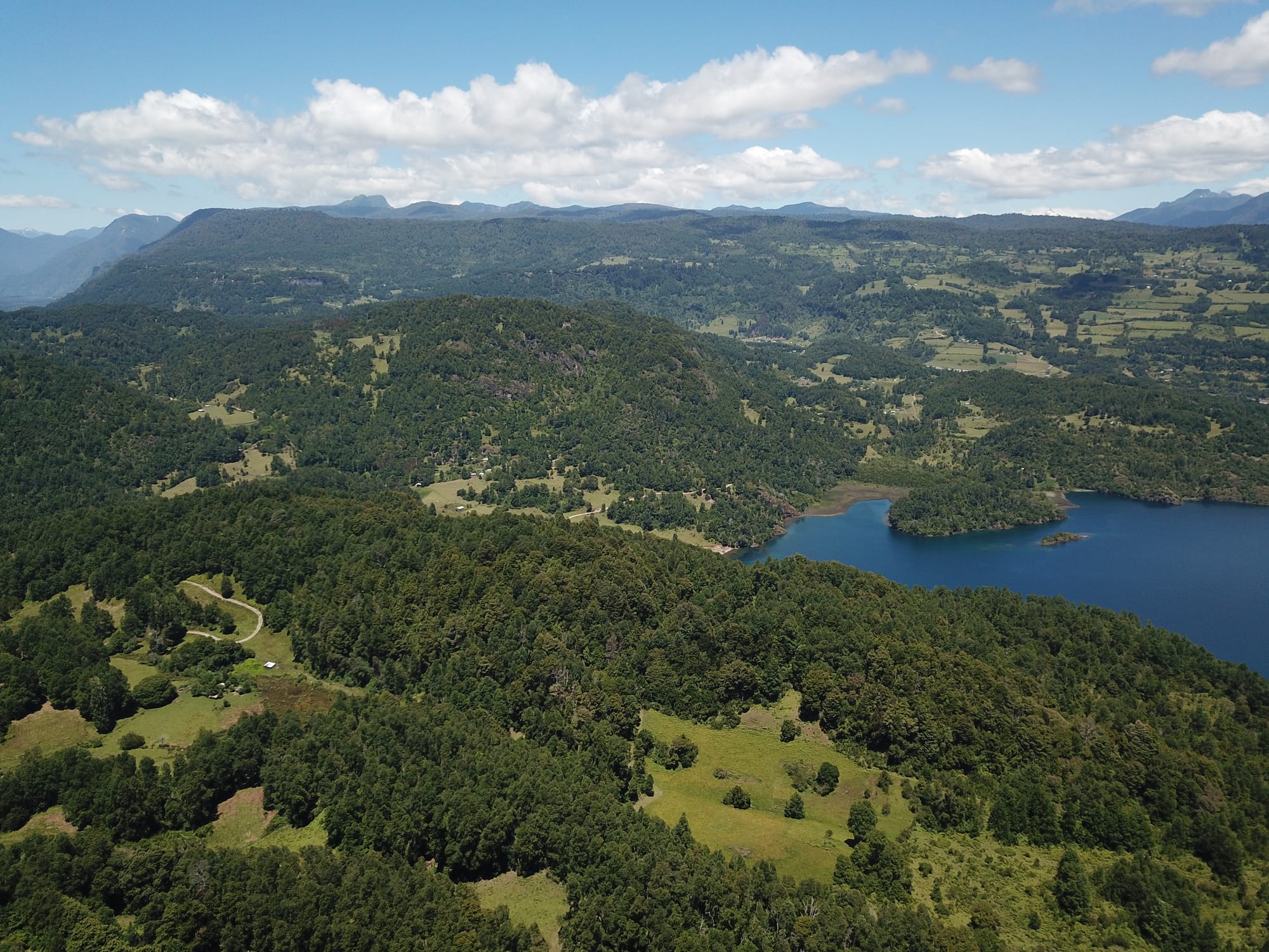 Terreno 46,55 hectáreas comuna Panguipulli.