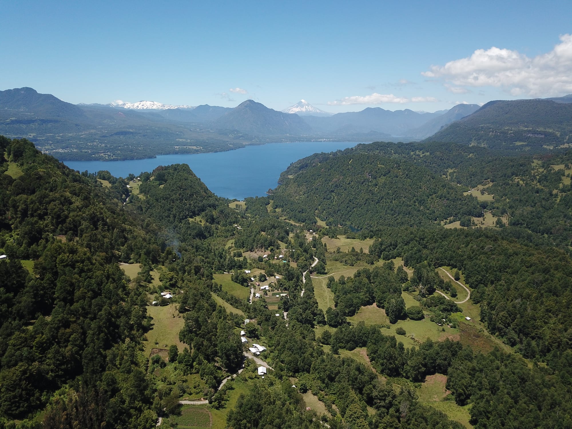 Terreno 46,55 hectáreas comuna Panguipulli.