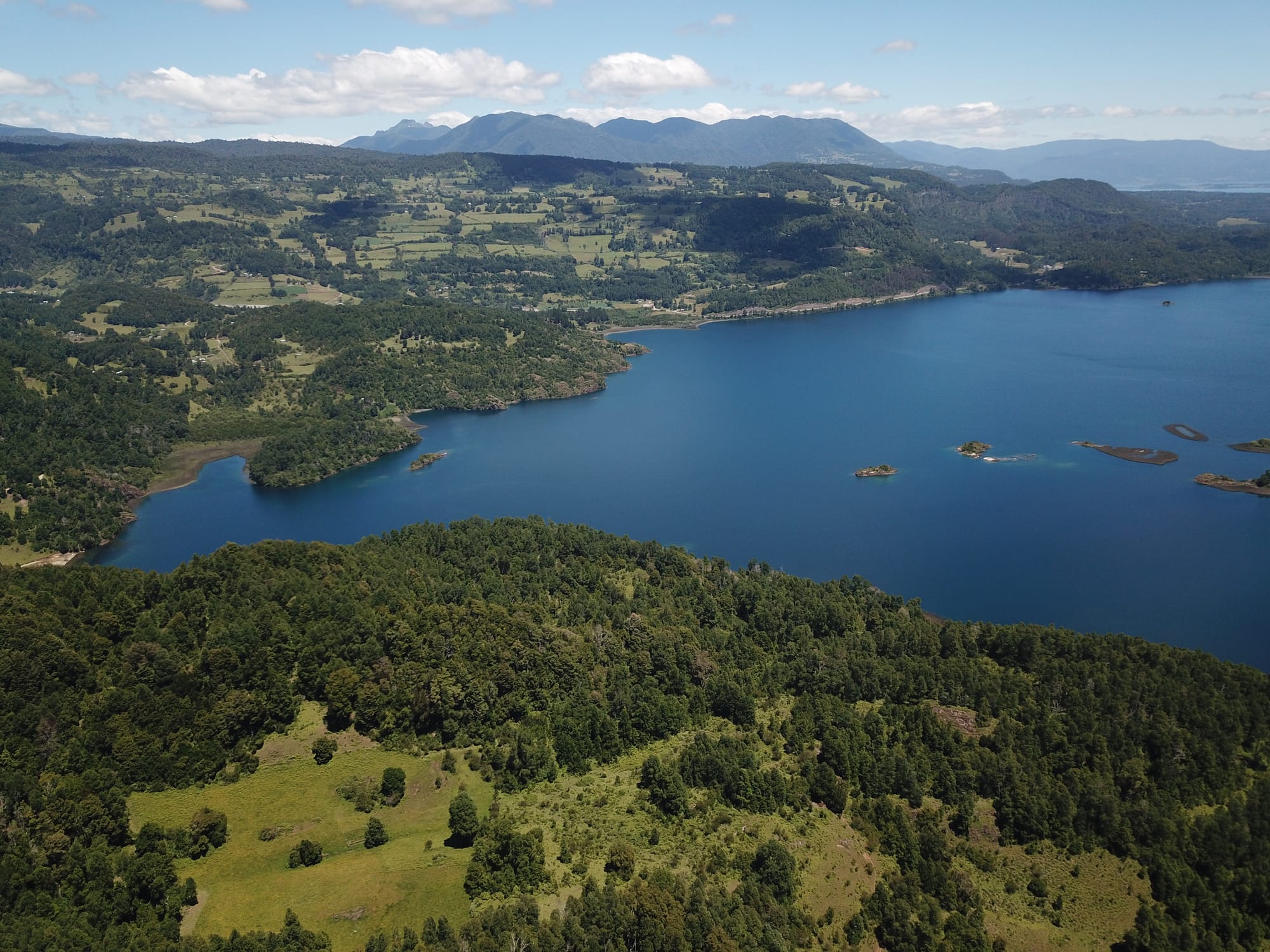 Terreno 46,55 hectáreas comuna Panguipulli.