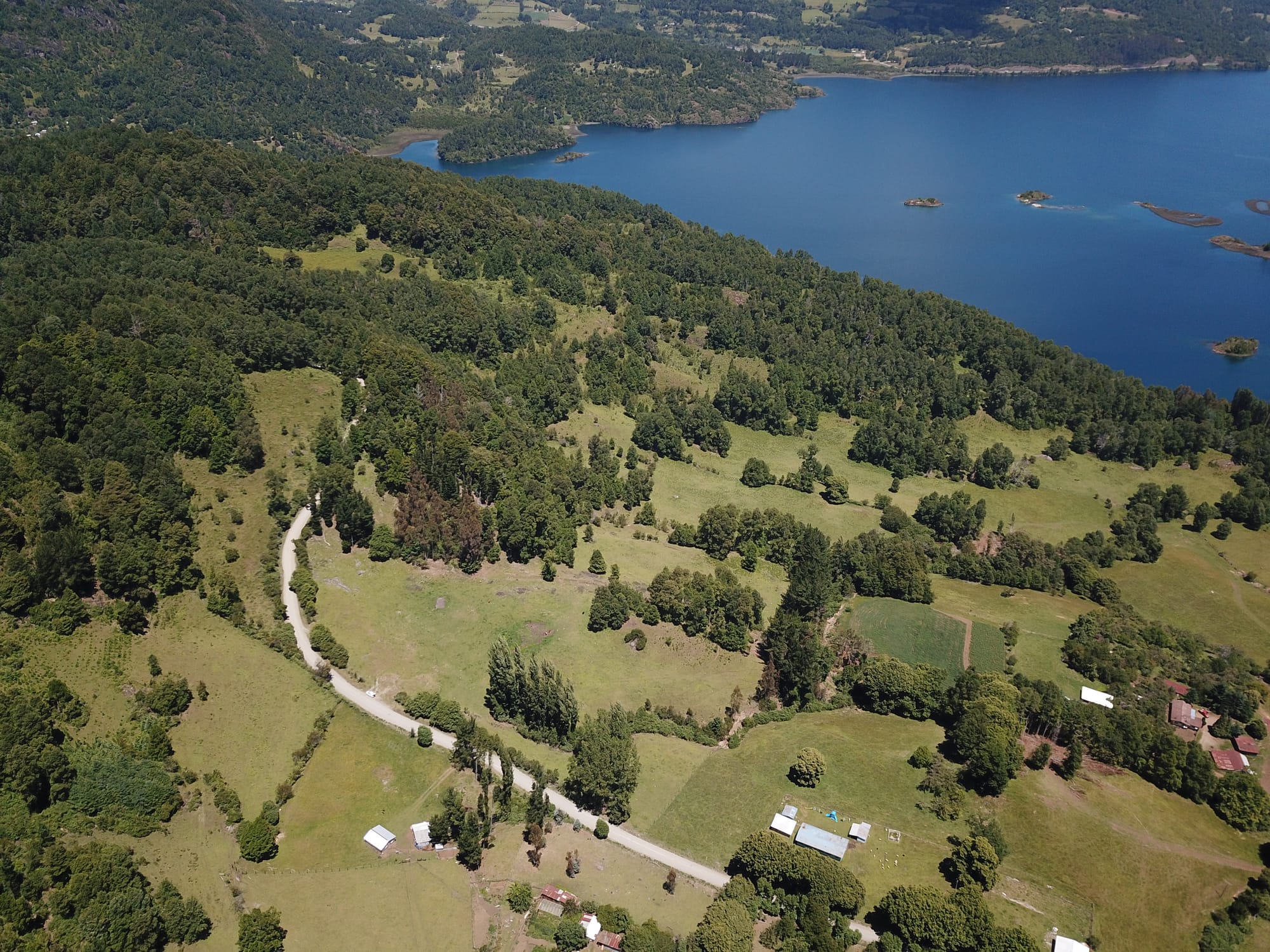 Terreno 46,55 hectáreas comuna Panguipulli.