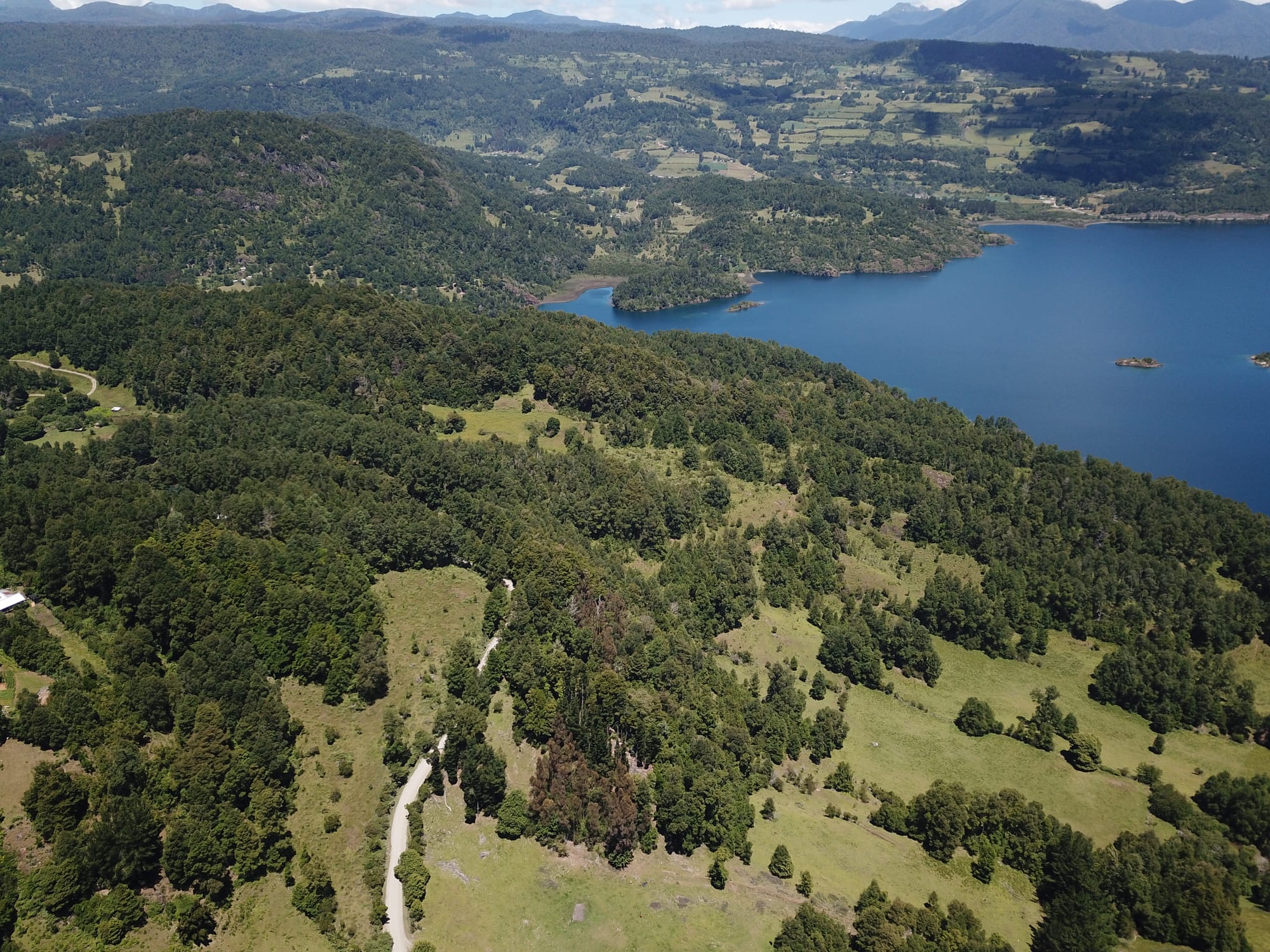 Terreno 46,55 hectáreas comuna Panguipulli.