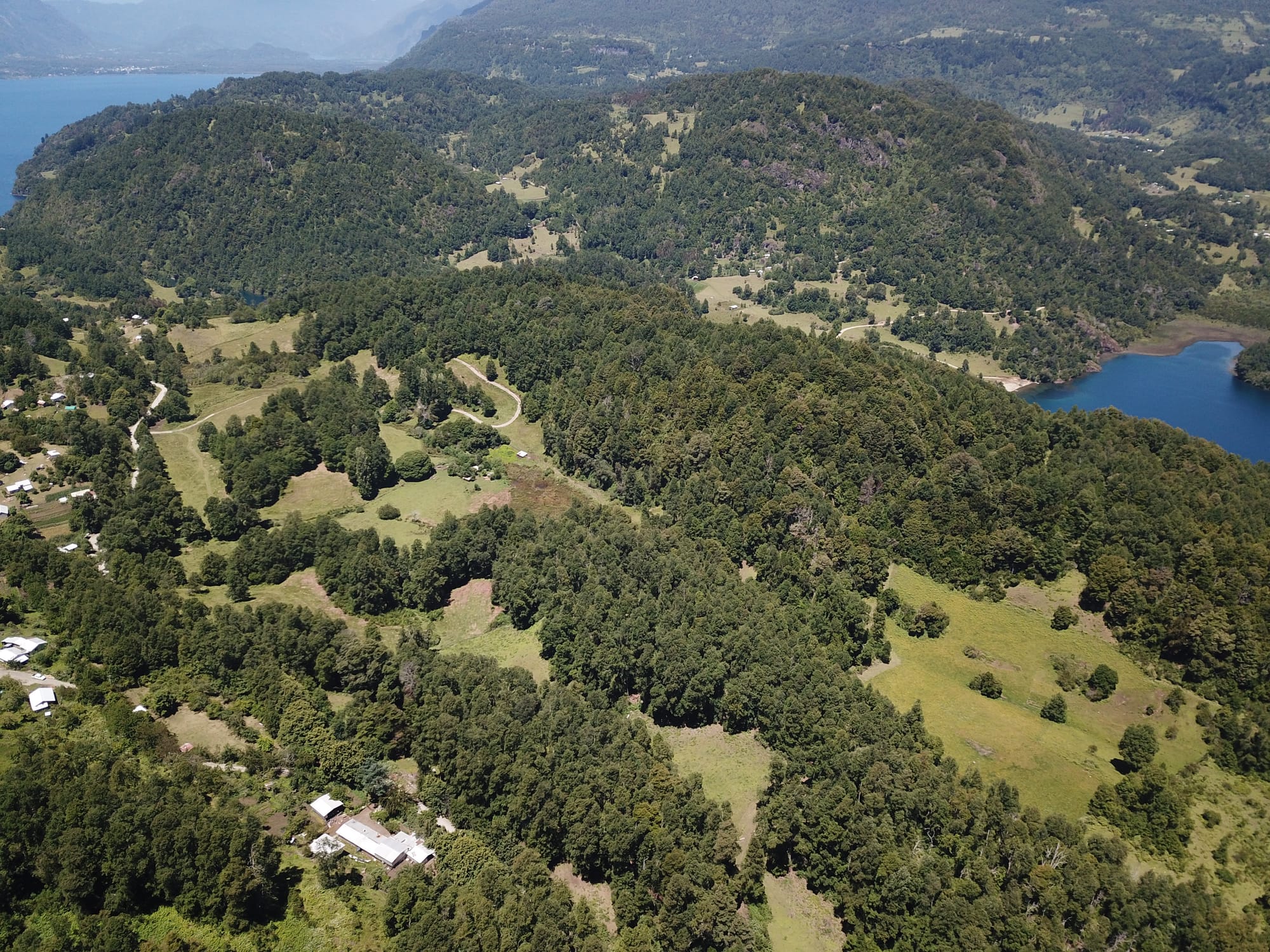 Terreno 46,55 hectáreas comuna Panguipulli.