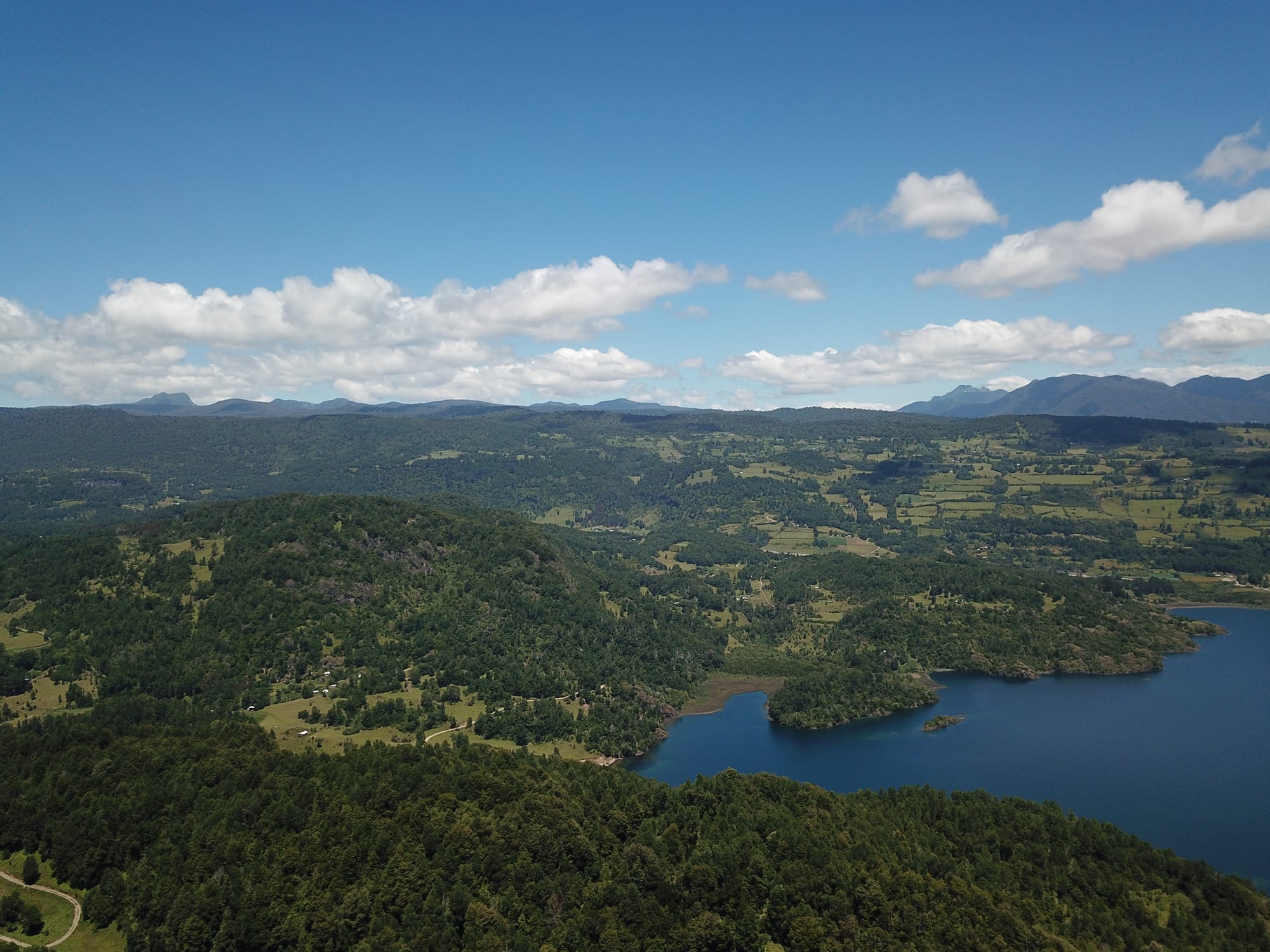 Terreno 46,55 hectáreas comuna Panguipulli.