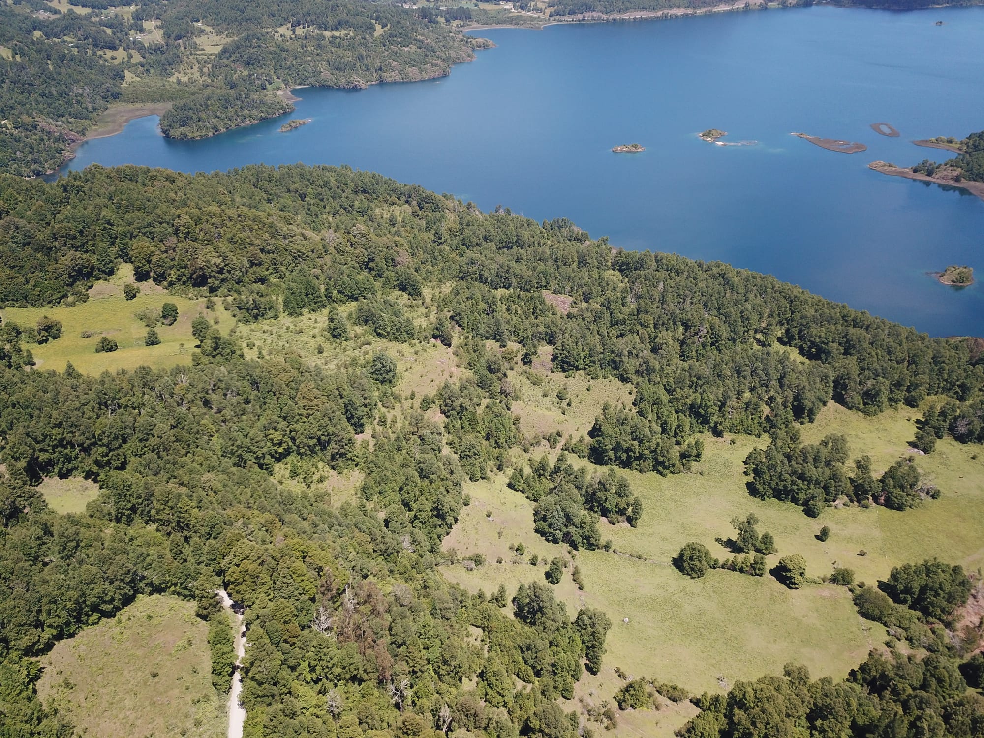 Terreno 46,55 hectáreas comuna Panguipulli.