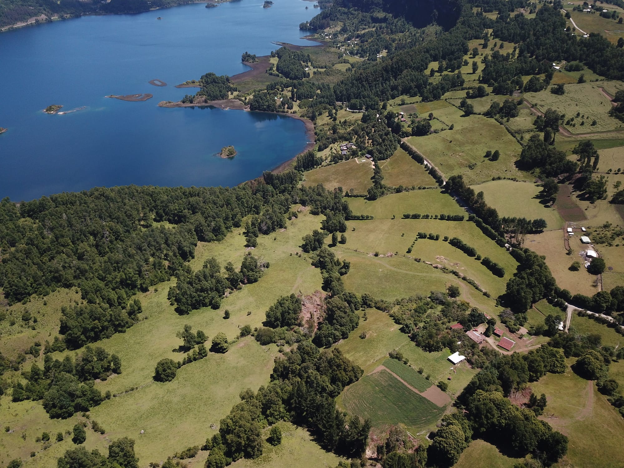 Terreno 46,55 hectáreas comuna Panguipulli.