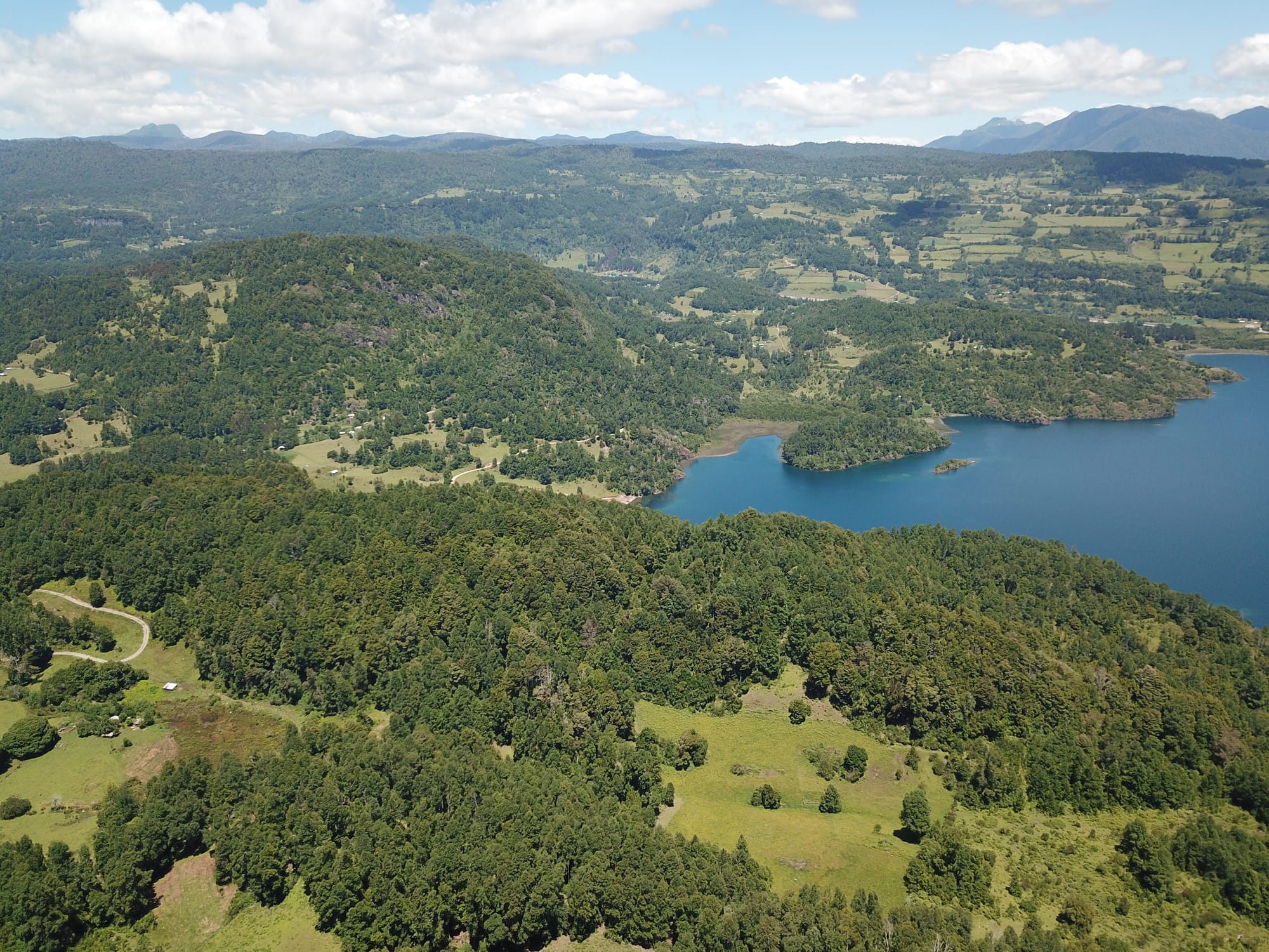 Terreno 46,55 hectáreas comuna Panguipulli.
