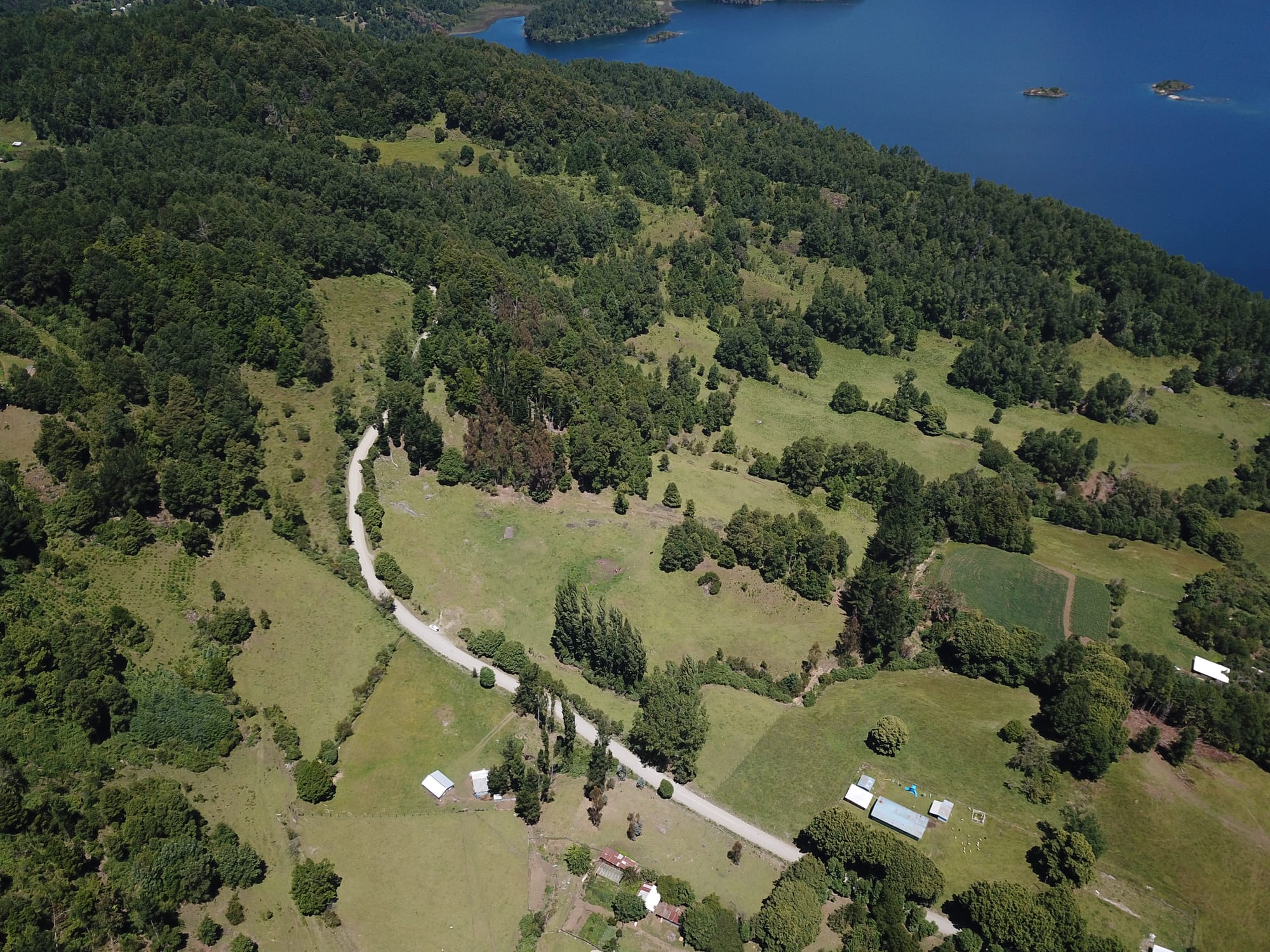 Terreno 46,55 hectáreas comuna Panguipulli.
