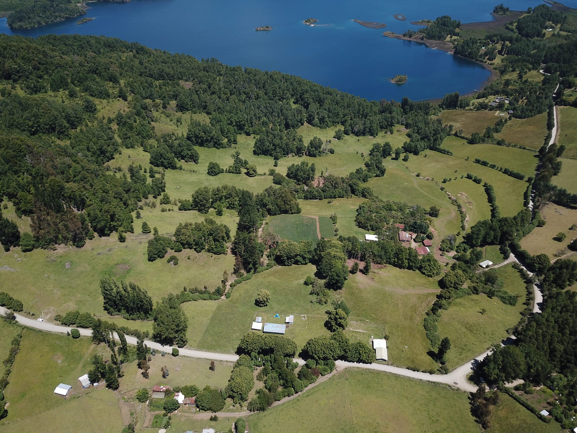 Terreno 46,55 hectáreas comuna Panguipulli.