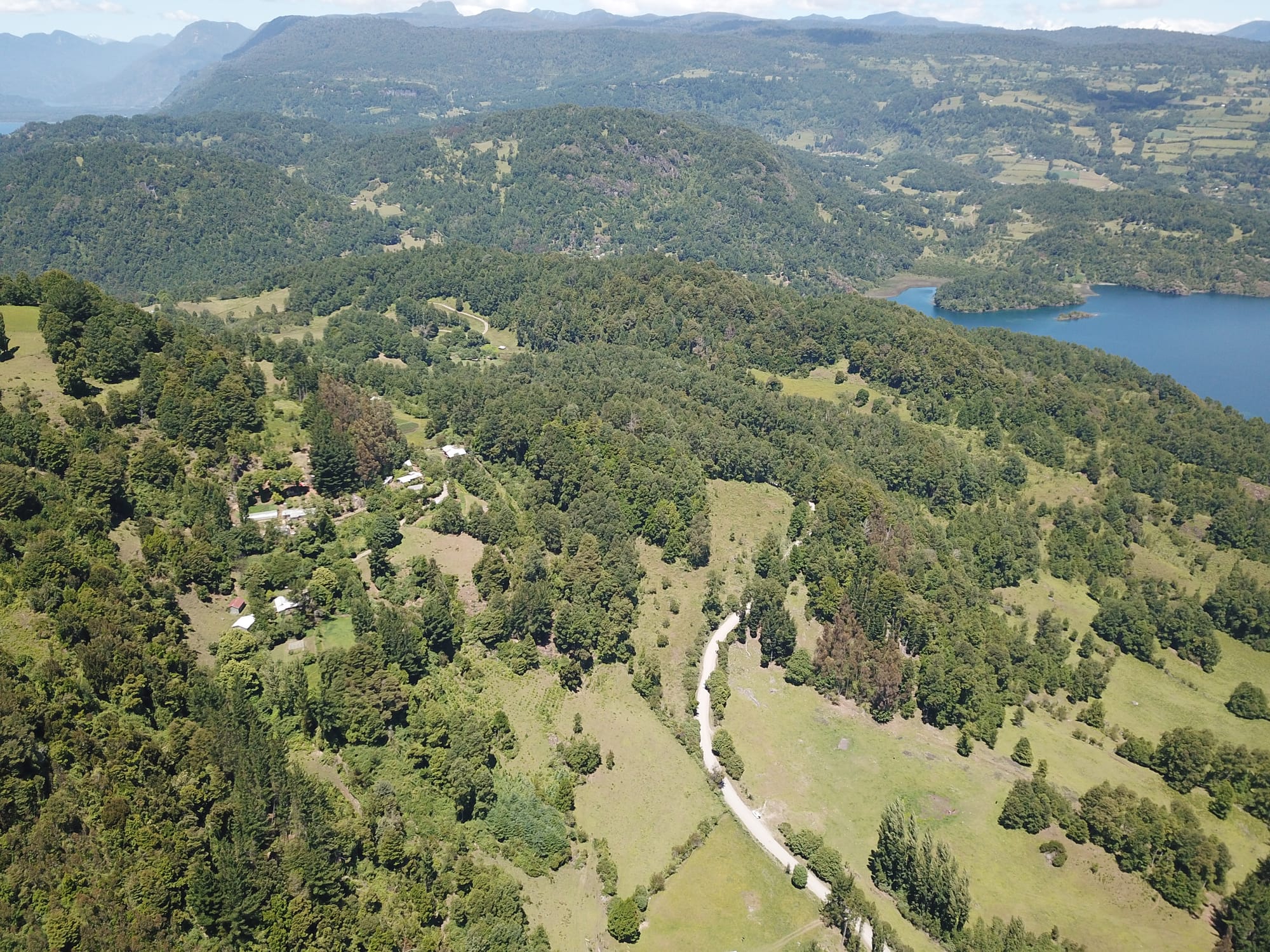 Terreno 46,55 hectáreas comuna Panguipulli.