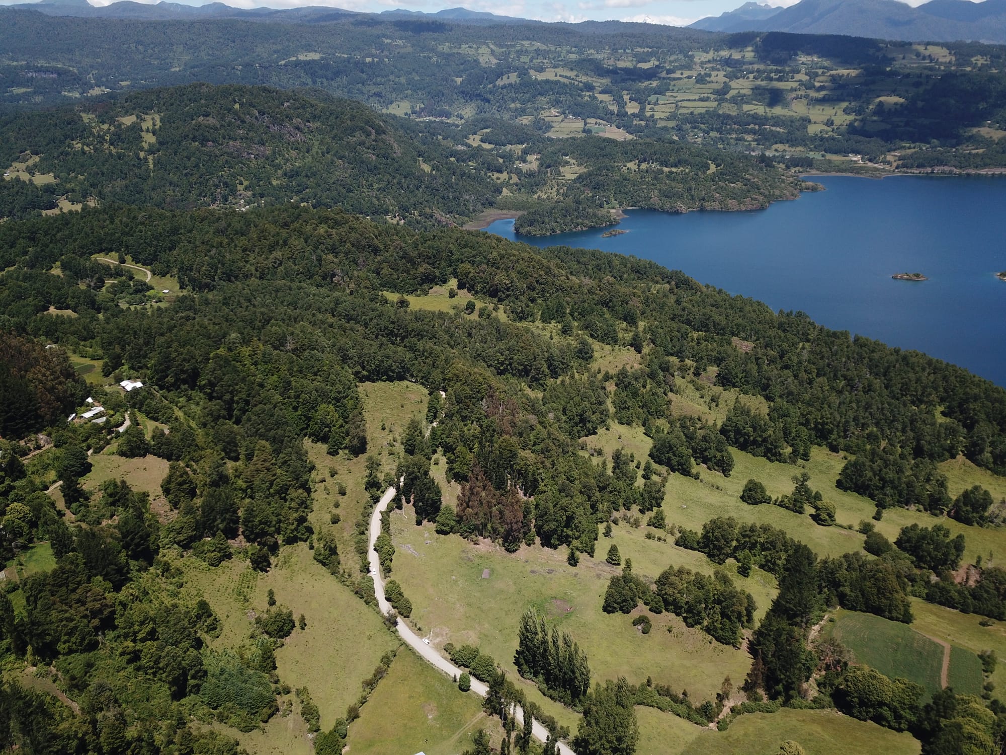 Terreno 46,55 hectáreas comuna Panguipulli.