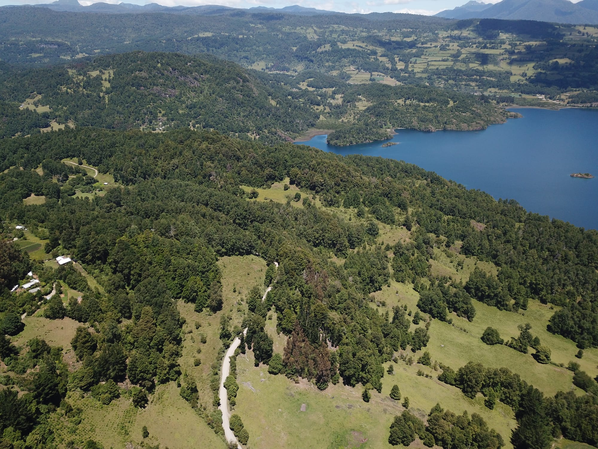 Terreno 46,55 hectáreas comuna Panguipulli.