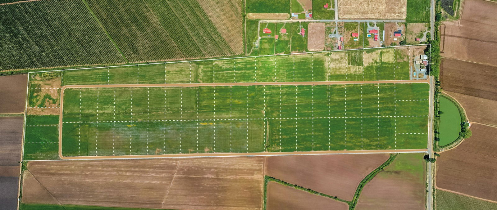 Vende Agroparcelas desde 44 millones