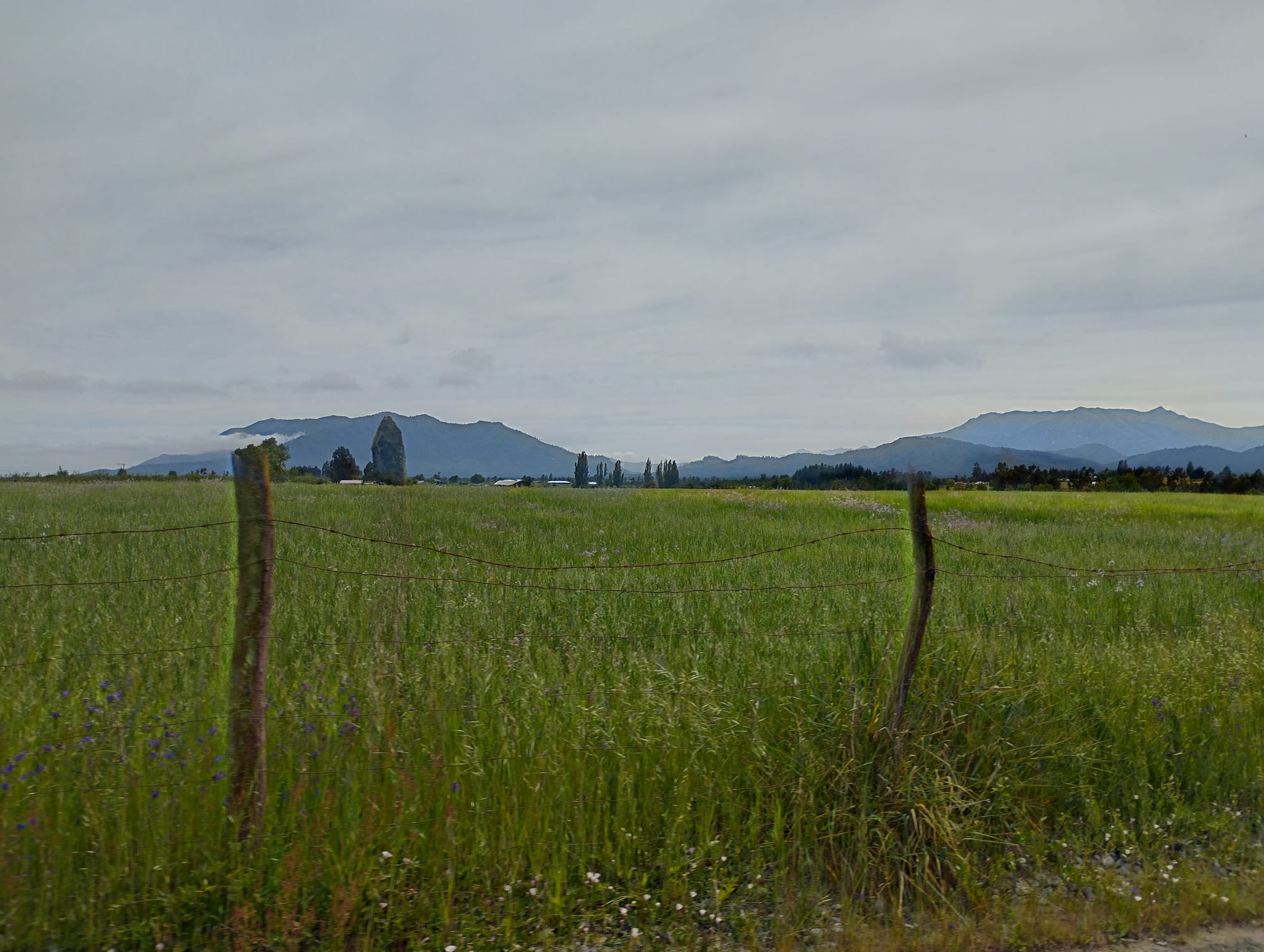 Vende parcela 36 hás Rio Claro Región del Maule