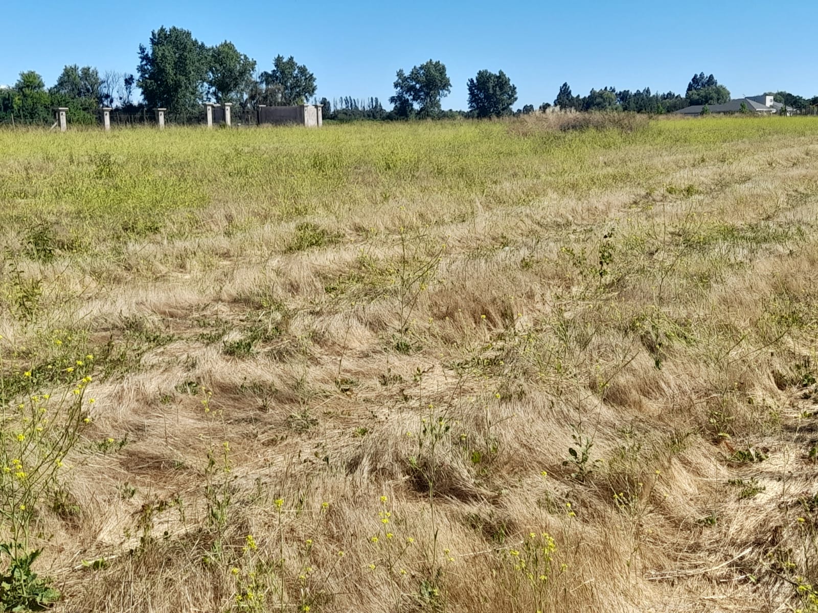 Parcelación San Felipe, sector Ranquimil, Camino Las Rastras