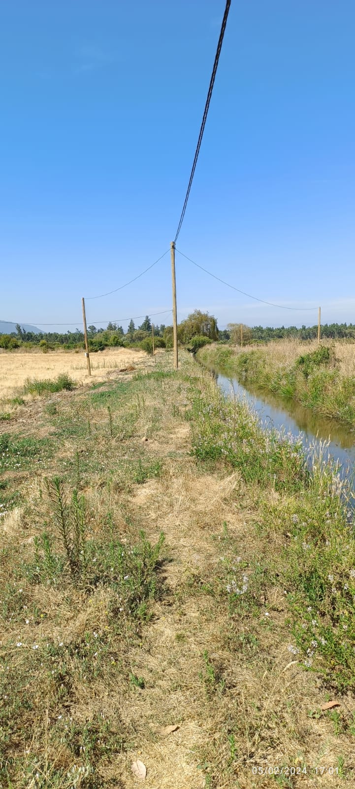 Se vende parcelas de 5000 m2 en San Clemente, Sector Mariposas 2 Norte