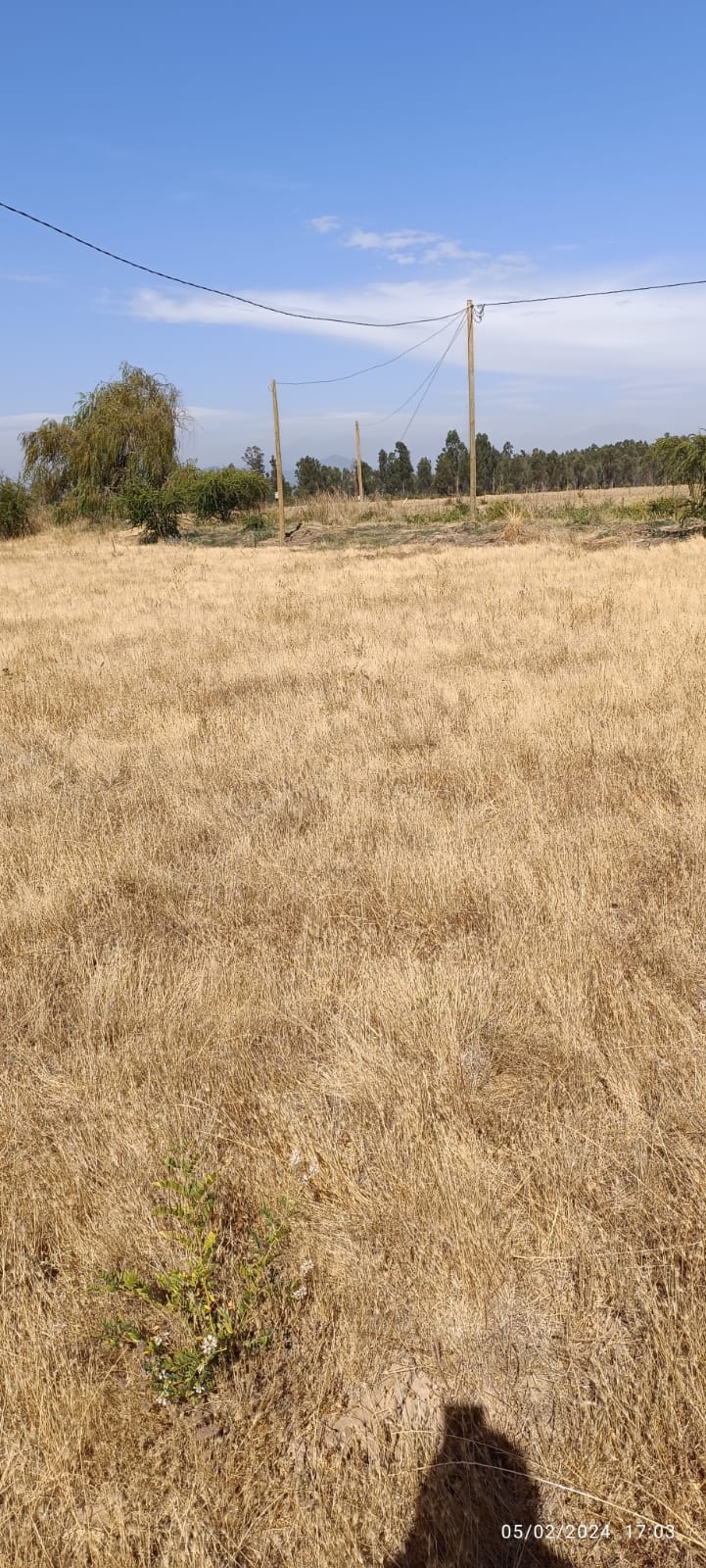 Se vende parcelas de 5000 m2 en San Clemente, Sector Mariposas 2 Norte