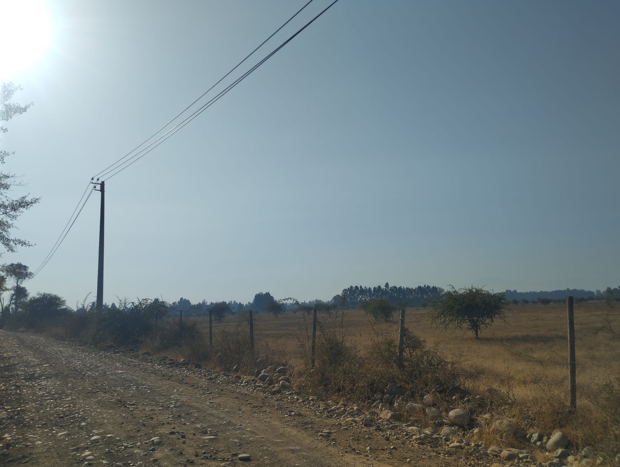 Vende 35.5 hectareas San Clemente - Sector Las Delicias