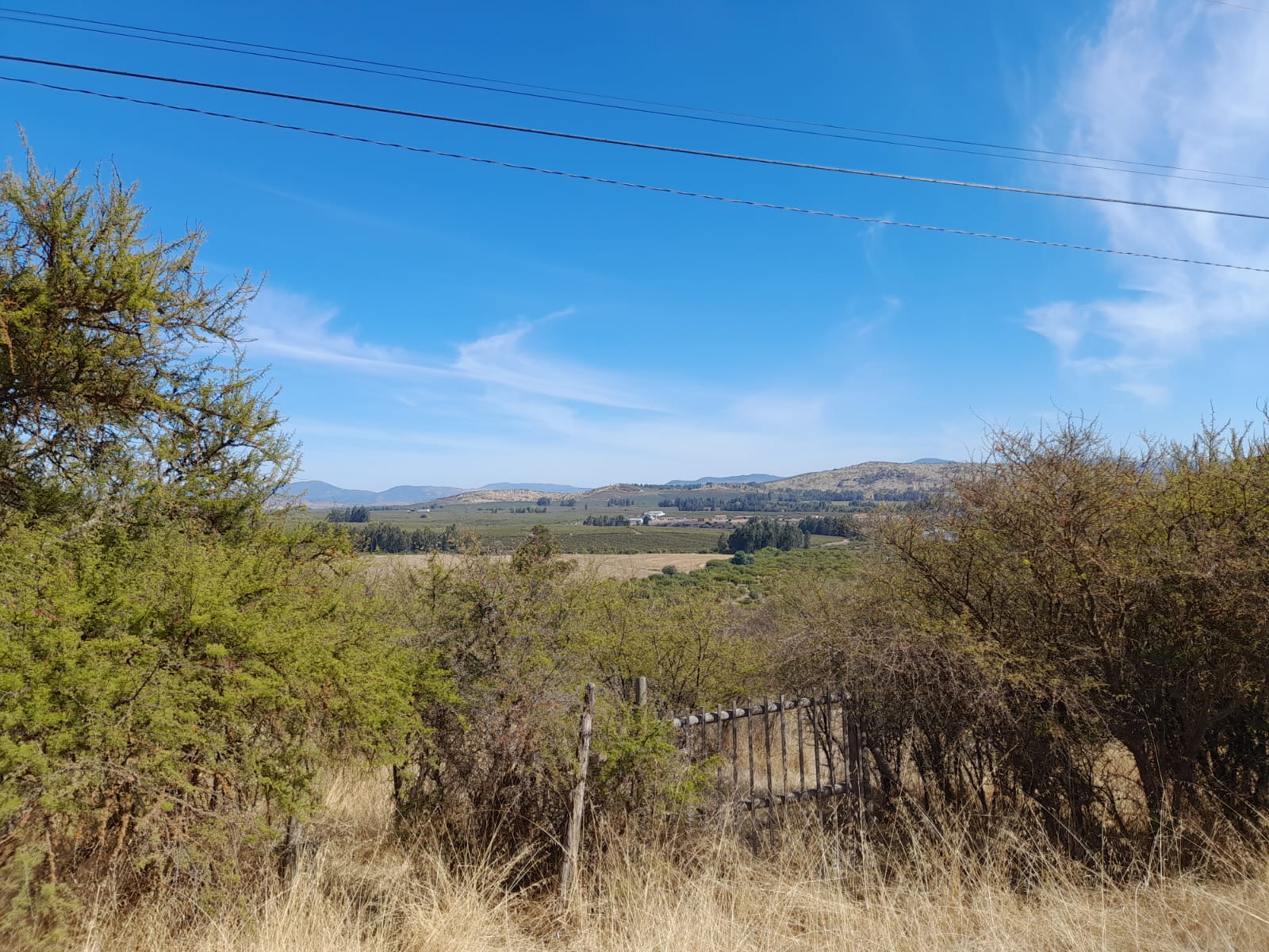 Se vende parcela de 5000 m2 en Loteo Lomas de Rauquén, Comuna de Pencahue, Región del Maule.