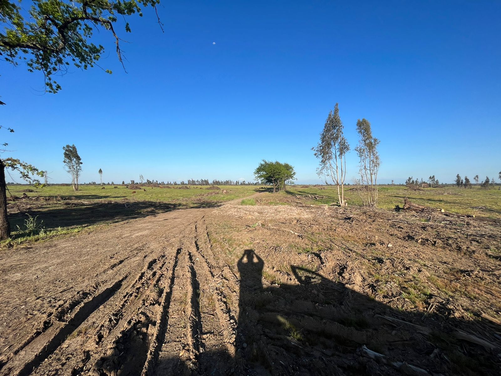 Se vende campo de 241,8 hás  en Parral, Región del Maule
