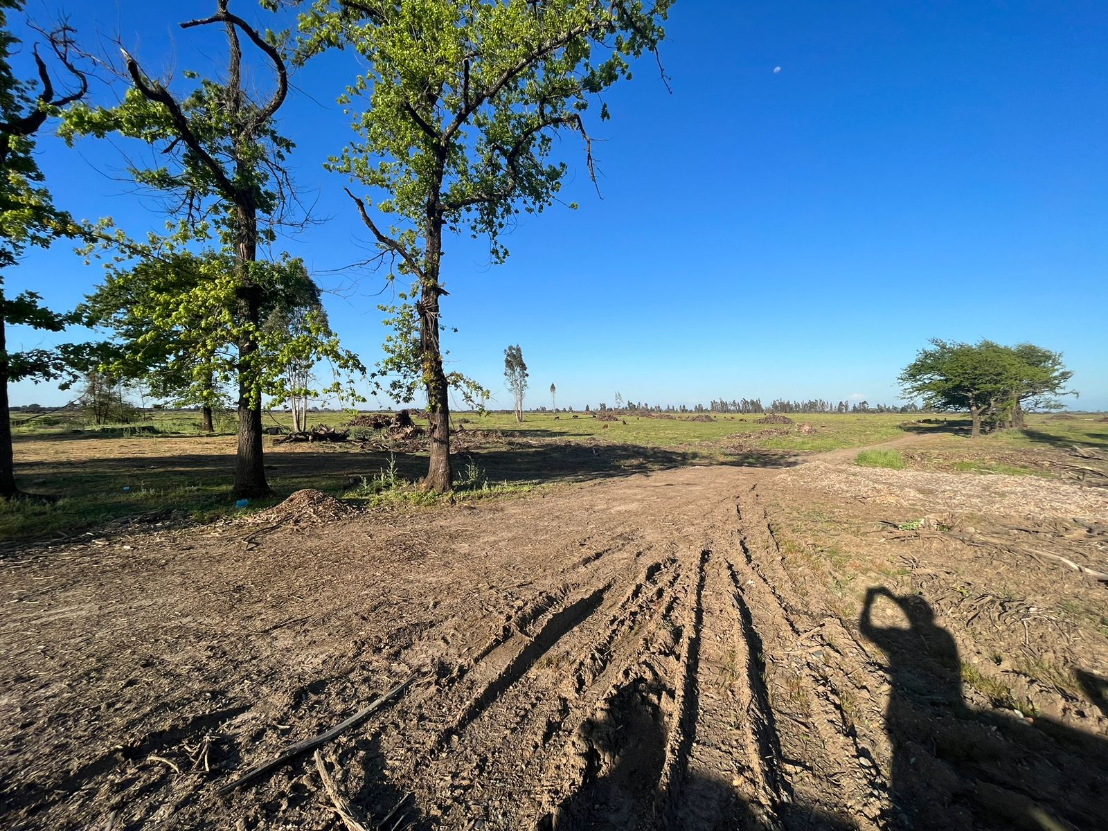 Se vende campo de 241,8 hás  en Parral, Región del Maule