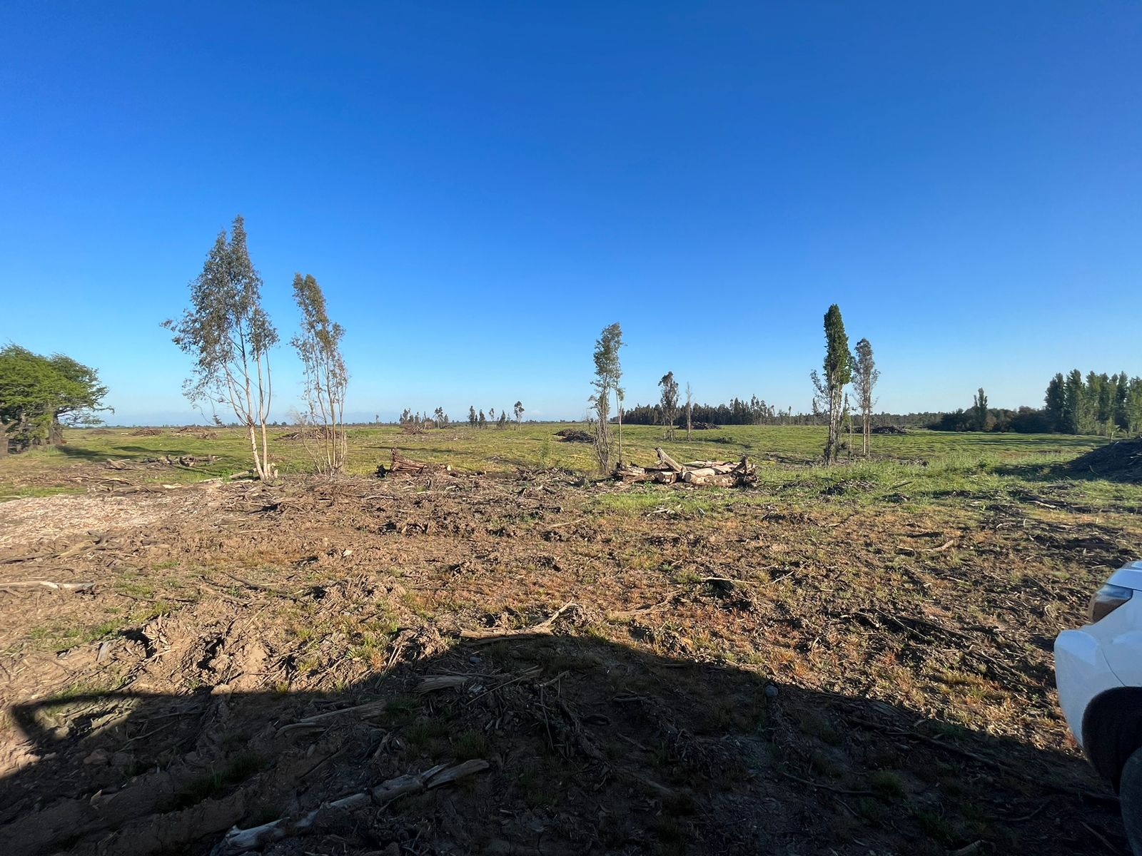 Se vende campo de 241,8 hás  en Parral, Región del Maule