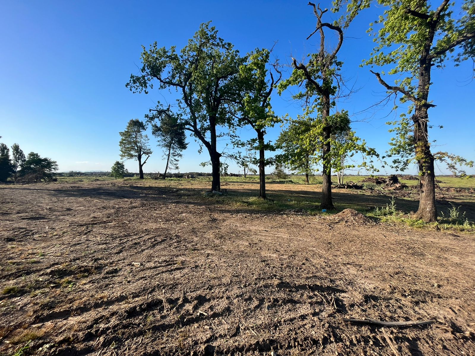 Se vende campo de 241,8 hás  en Parral, Región del Maule