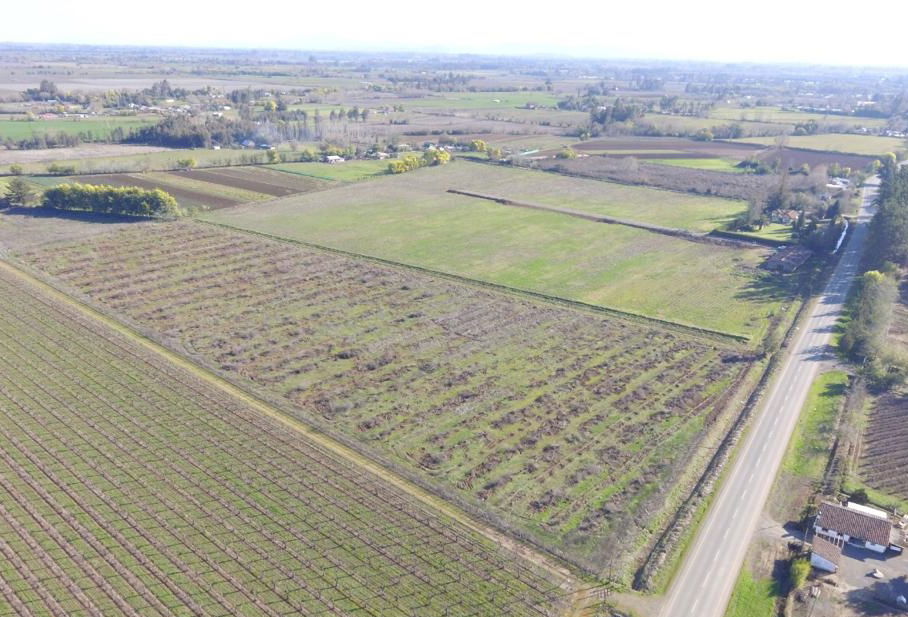 Vende Parcelación Casas de San Vicente, Camino Las Rastras, Talca - Desde $70.000.000