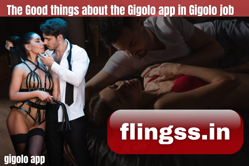 The Good things about the Gigolo app in Gigolo job