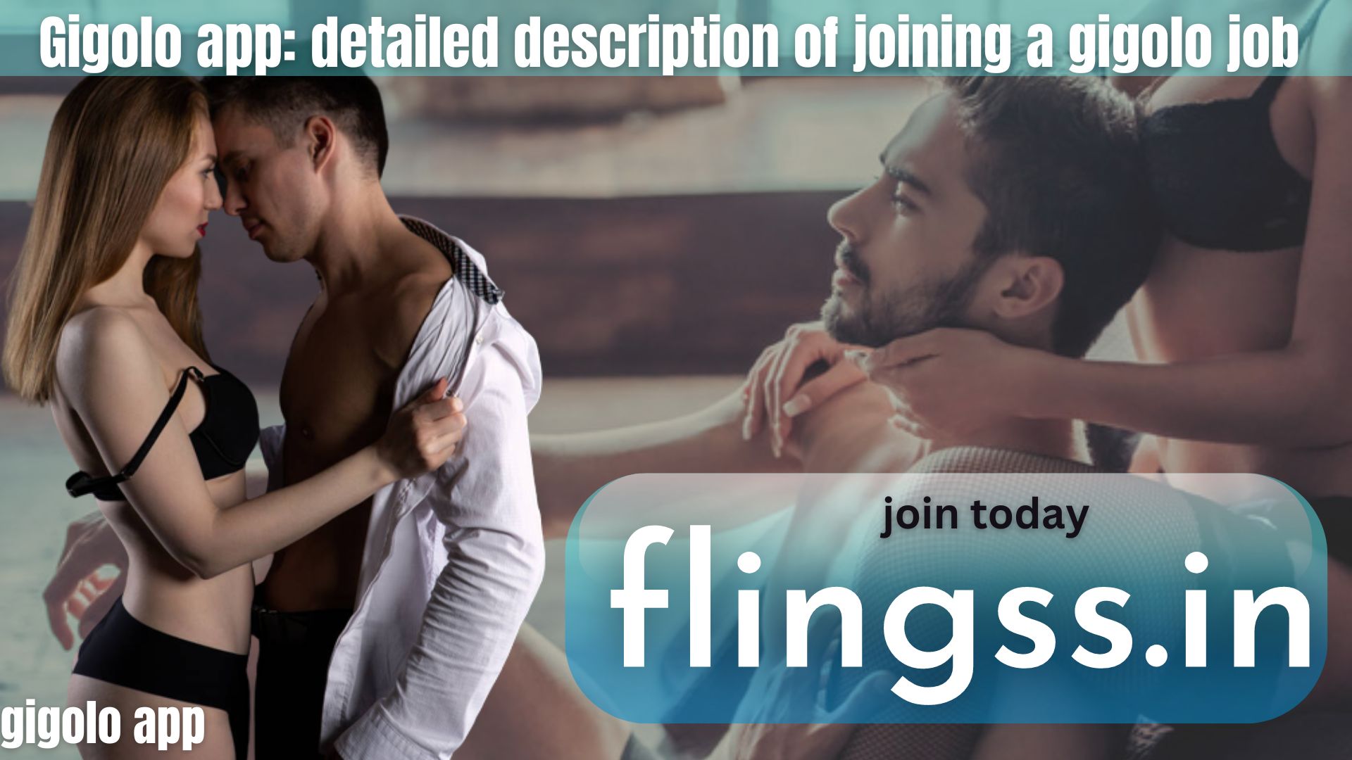 Gigolo app: detailed description of joining a gigolo job