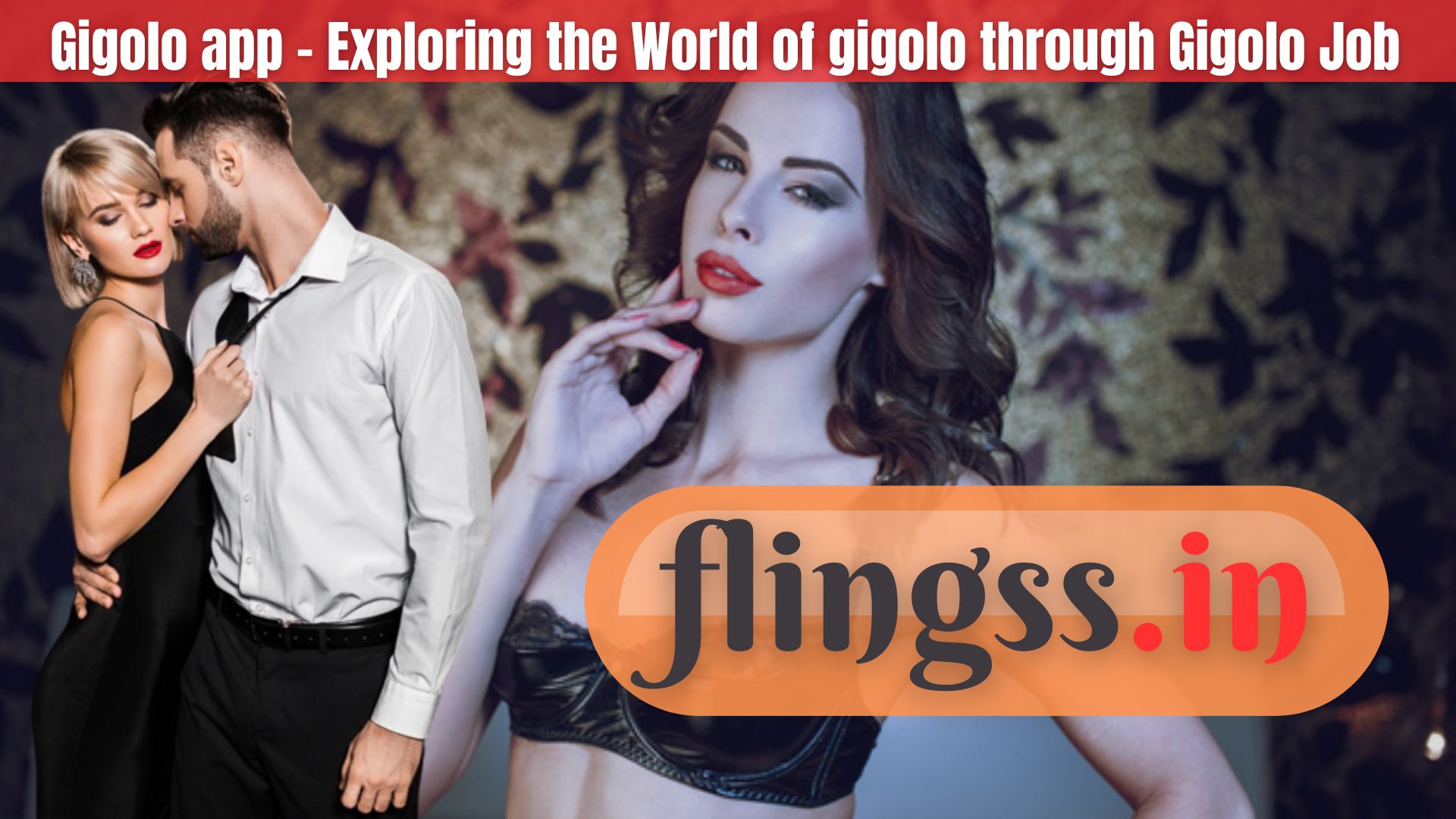 Gigolo app - Exploring the World of gigolo through Gigolo Job