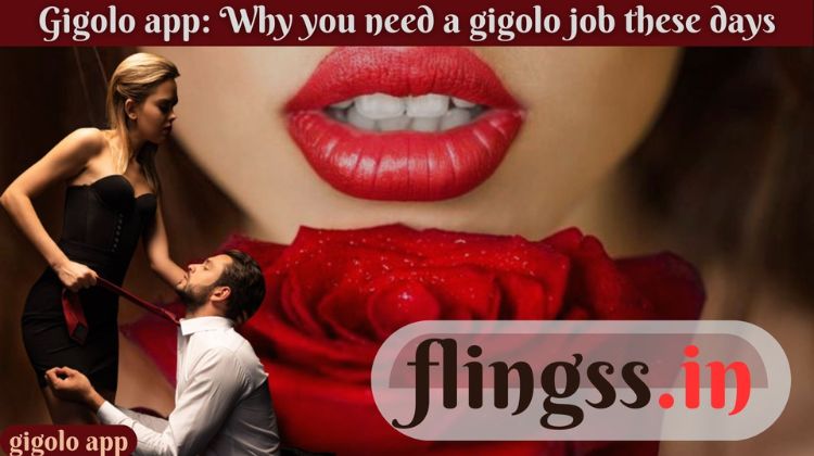 Gigolo app: Why you need a gigolo job these days