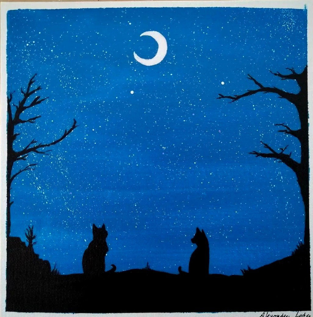 Gazing Stars