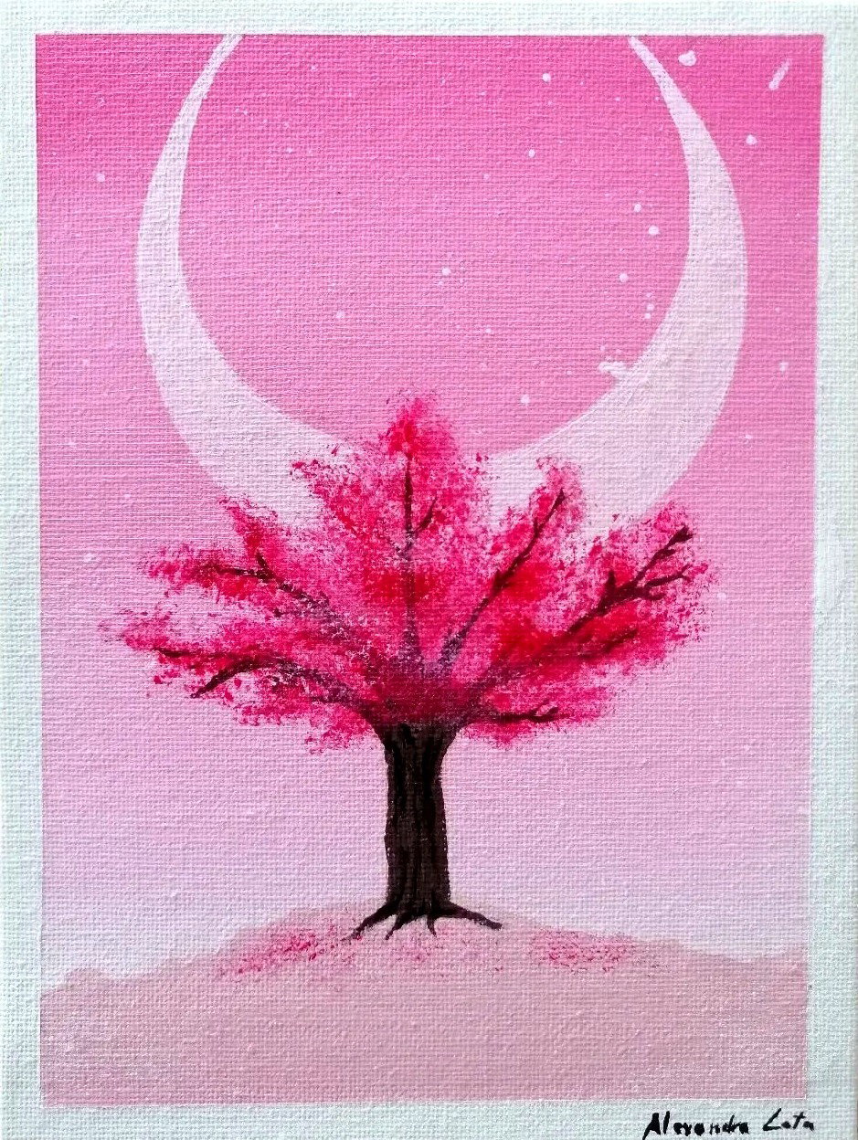 Cherry Blossom