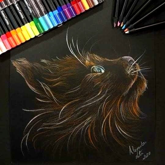 Lines & Colors