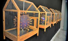 Museo Cándido Bidó