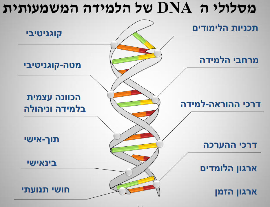 "רואים שש שש" היכרות עם מערכת כלים להטמעת תפקודי לומד