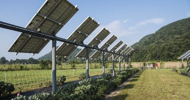 Agrivoltaico