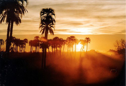 Parque Nacional EL PALMAR