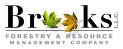 Art Brooks Forestry
