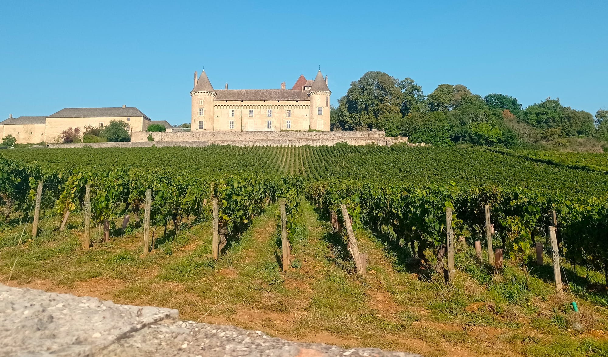 Le château de Rully entouré de ses vignes