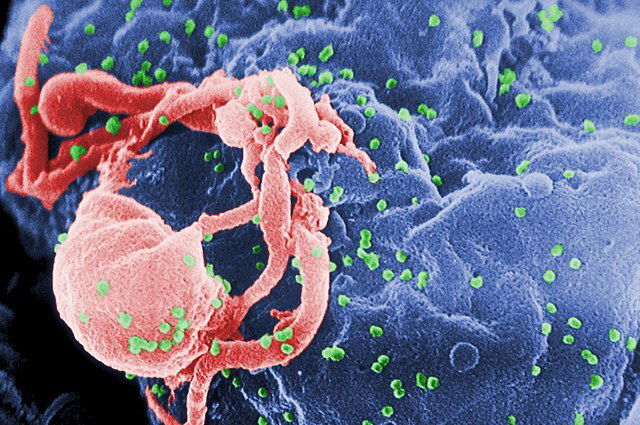 A new phase in the fight against HIV grows closer