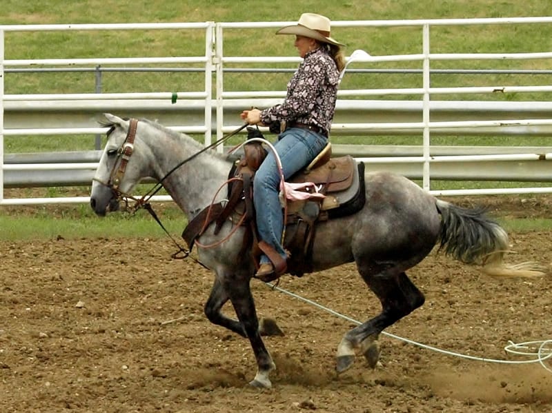 Great Lakes Regional Rodeo Photos
