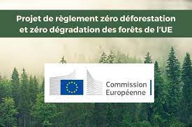 Pacte vert : L'UE adopte une législation visant à lutter contre la déforestation et la dégradation des forêts induites par la production et la consommation de l'UE