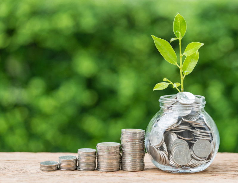 Banques verte &amp; sociales